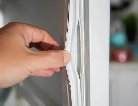 ripped-refrigerator-seal